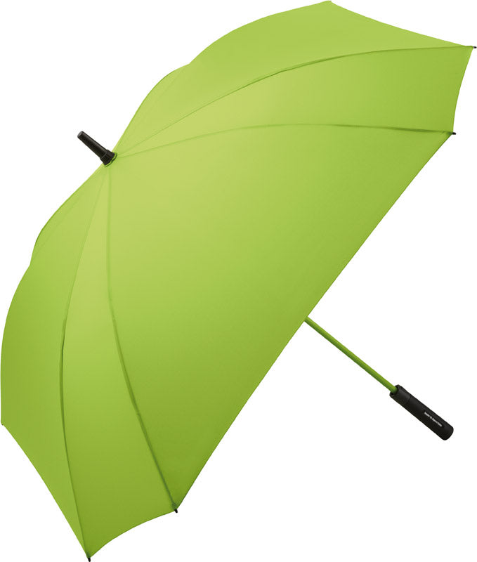 Fare | 2393 lime
