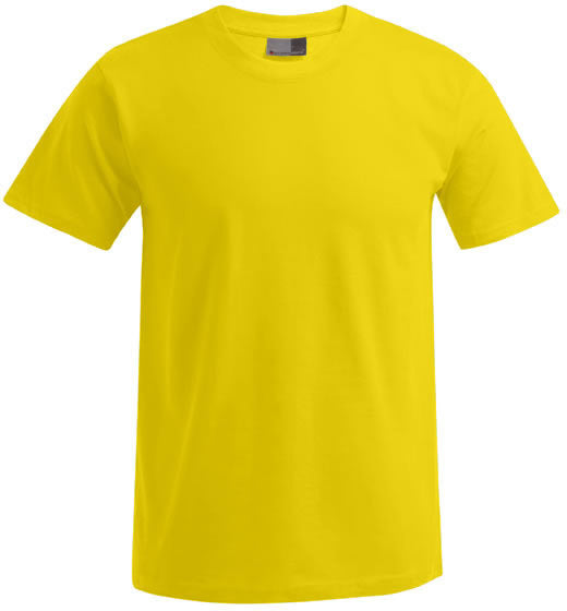 Promodoro | 3099 gold