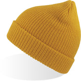 Atlantis | Woolly yellow