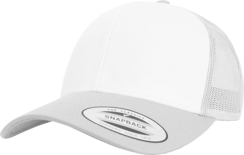 Flexfit | 6606CF silver/white/silver